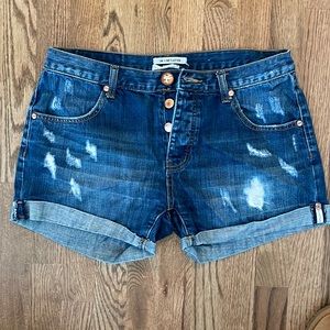 One Teaspoon Charger shorts